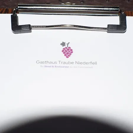 Bachmeier's Traube Guest house 3*