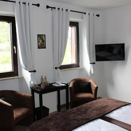 Bachmeier's Traube Guest house 3*