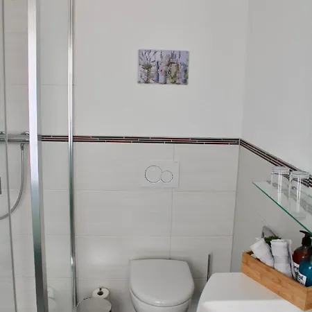 Bachmeier's Traube ゲストハウス