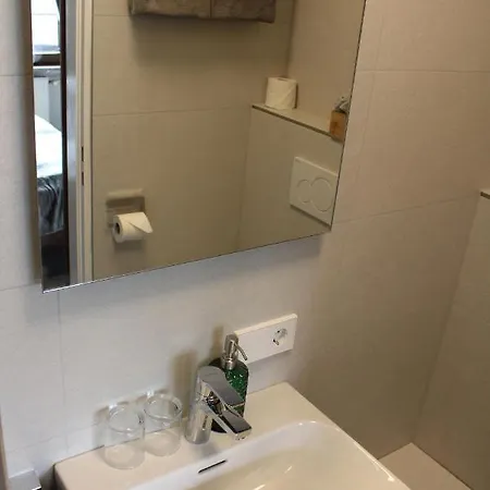 Pensjonat Bachmeier's Traube