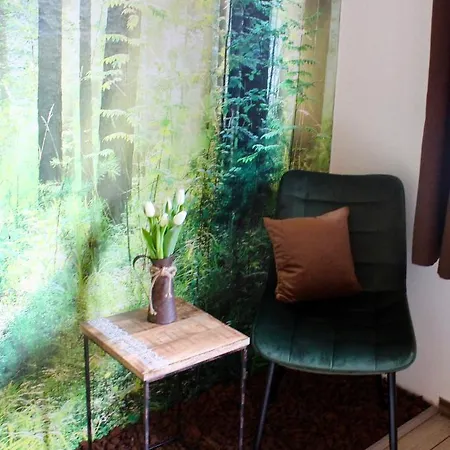 ゲストハウス Bachmeier's Traube 3*