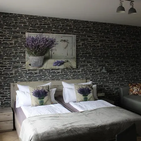 Pensjonat Bachmeier's Traube