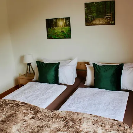 Bachmeier's Traube Guest house 3*