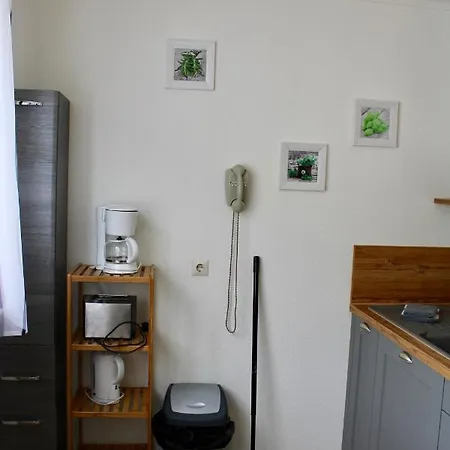 ゲストハウス Bachmeier's Traube Niederfell