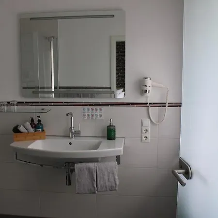 Guest house Bachmeier's Traube 3*