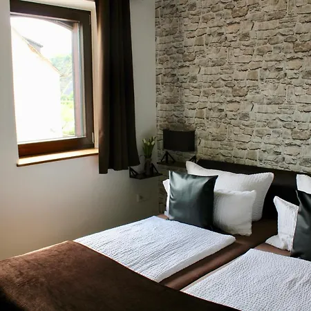 ゲストハウス Bachmeier's Traube 3*