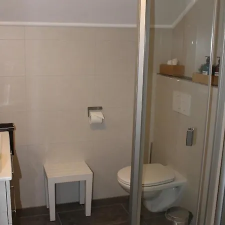 Bachmeier's Traube ゲストハウス Niederfell