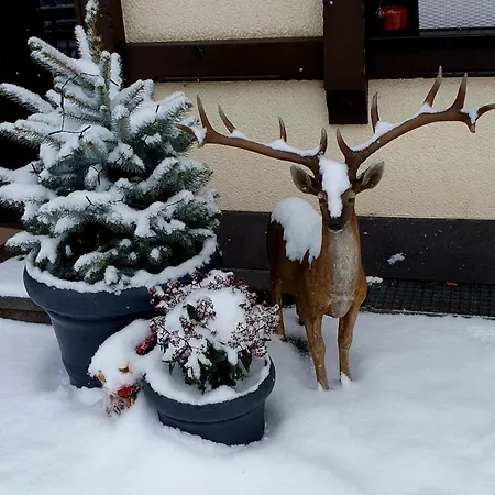 Bachmeier's Traube Pensjonat 3*