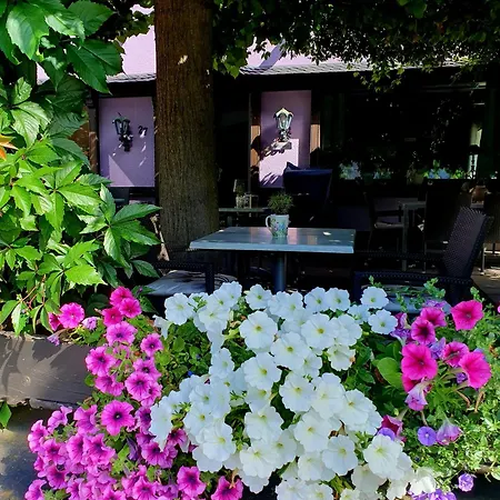 Pensjonat Bachmeier's Traube 3*