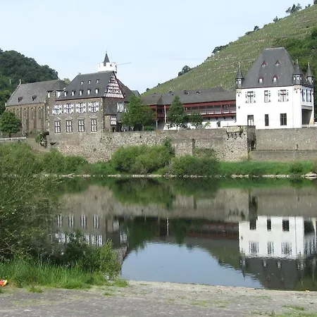 Guest house Bachmeier's Traube