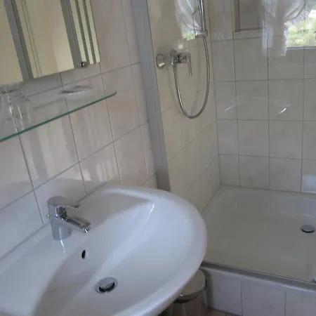 Bachmeier's Traube Guest house 3*