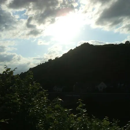 Bachmeier's Traube 3* Niederfell