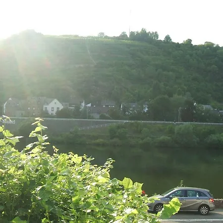 Bachmeier's Traube Pensjonat