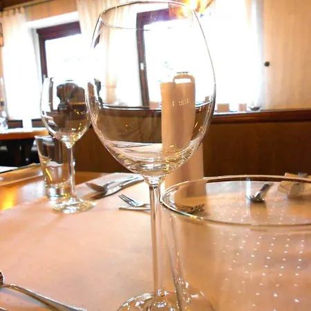 Bachmeier's Traube Pensjonat