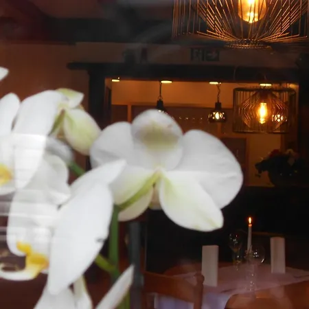 Bachmeier's Traube 3*