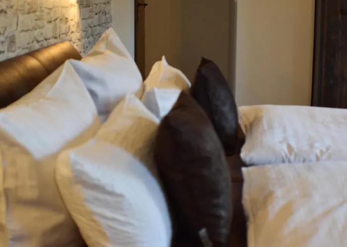 게스트하우스 Bachmeier's Traube 니데르펠