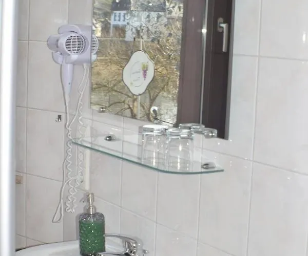 게스트하우스 Bachmeier's Traube 니데르펠