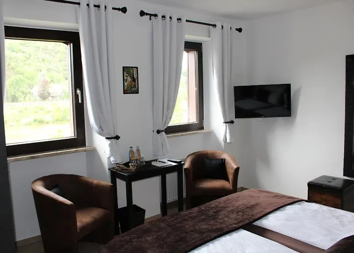 Bachmeier's Traube 게스트하우스 3*