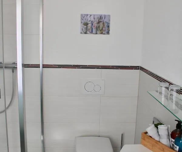 Bachmeier's Traube 게스트하우스