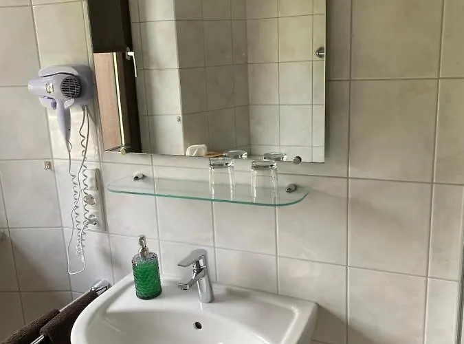 Bachmeier's Traube 게스트하우스 3*