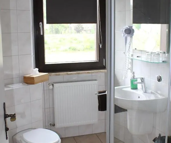 Bachmeier's Traube 3* 니데르펠