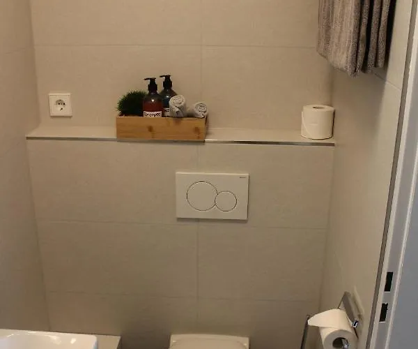 Bachmeier's Traube 게스트하우스 3*