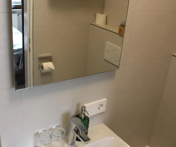 게스트하우스 Bachmeier's Traube