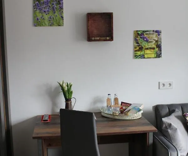 게스트하우스 Bachmeier's Traube 니데르펠