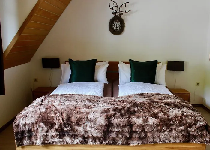 Bachmeier's Traube 3*