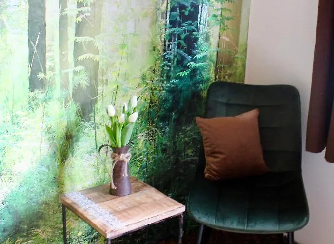 게스트하우스 Bachmeier's Traube 3*