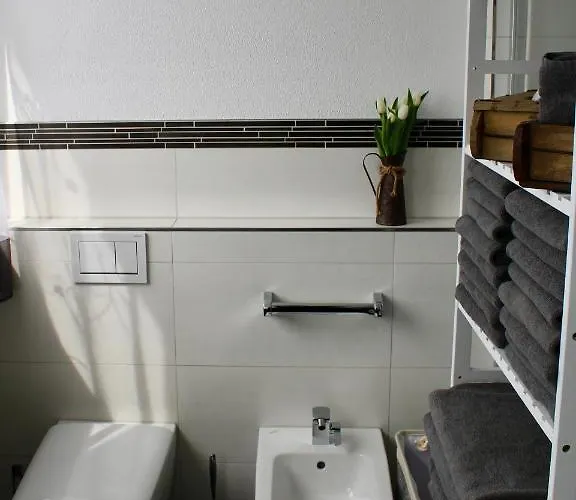 Bachmeier's Traube 게스트하우스 3*