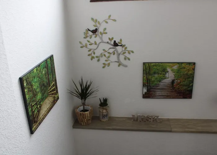 게스트하우스 Bachmeier's Traube