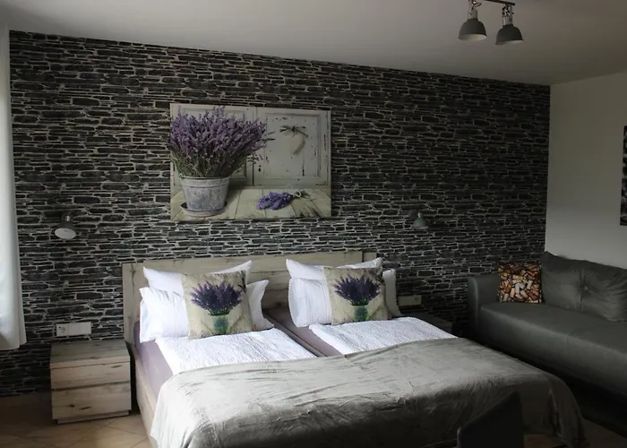 게스트하우스 Bachmeier's Traube