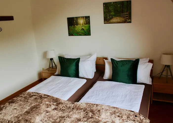 Bachmeier's Traube Guest house 3*