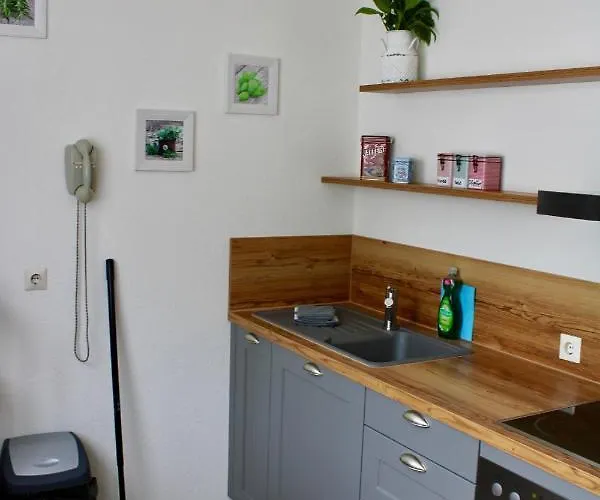 게스트하우스 Bachmeier's Traube