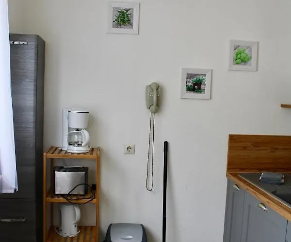 게스트하우스 Bachmeier's Traube 니데르펠