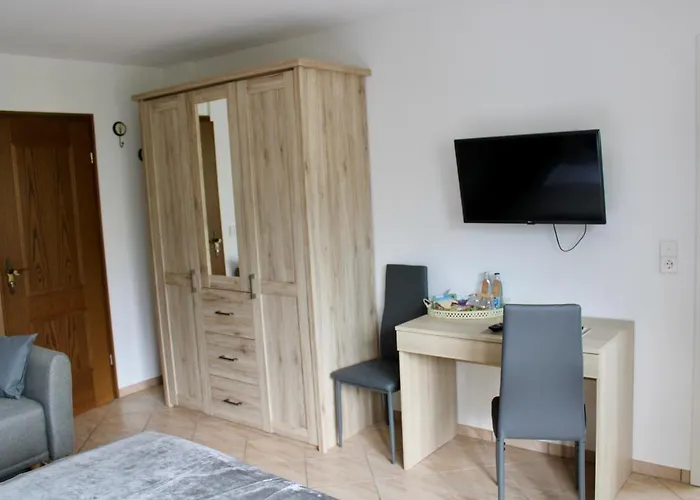 게스트하우스 Bachmeier's Traube 3*