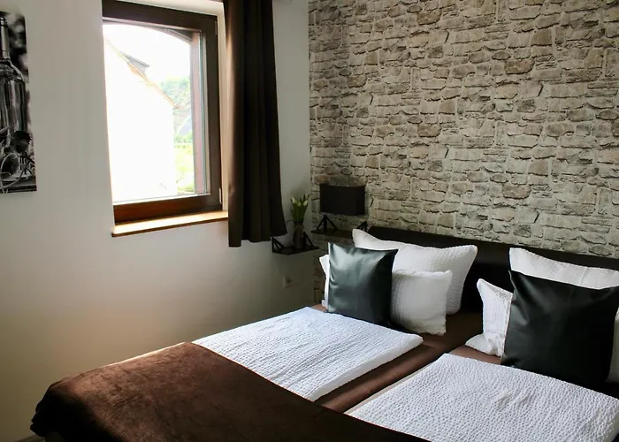 게스트하우스 Bachmeier's Traube 3*