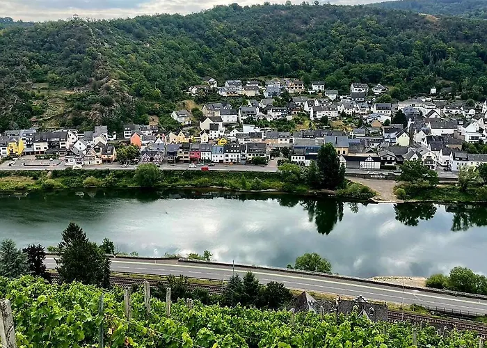 게스트하우스 Bachmeier's Traube