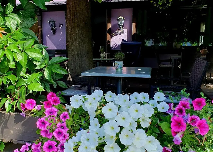 게스트하우스 Bachmeier's Traube 3*