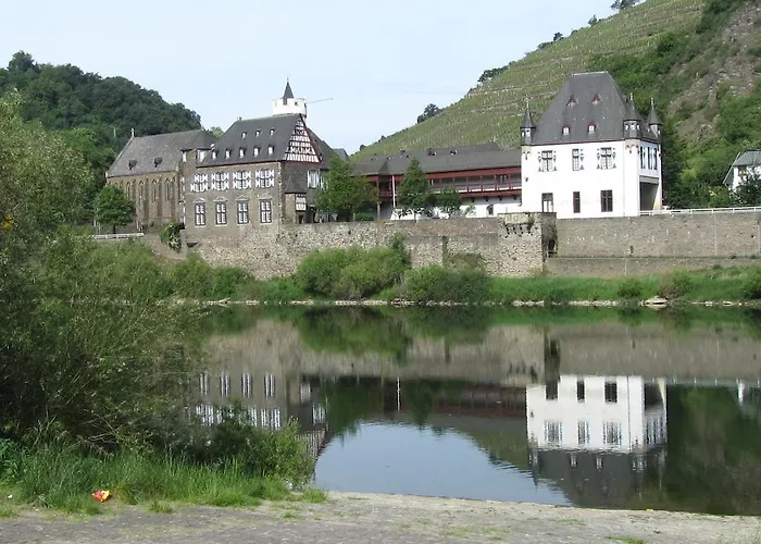 게스트하우스 Bachmeier's Traube