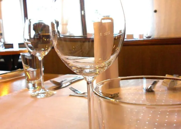 Bachmeier's Traube 게스트하우스