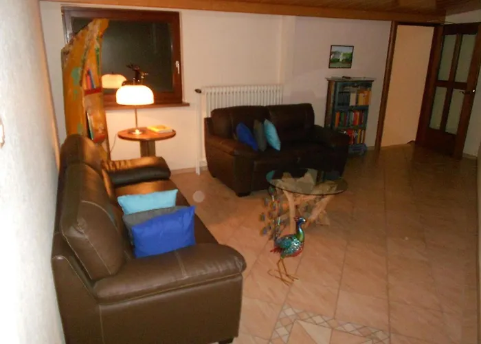 게스트하우스 Bachmeier's Traube