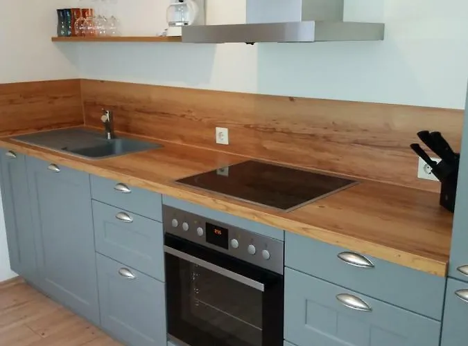 Bachmeier's Traube 게스트하우스