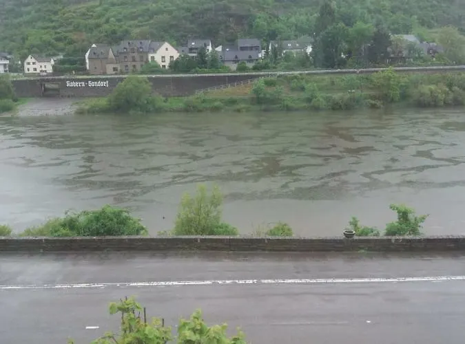 게스트하우스 Bachmeier's Traube